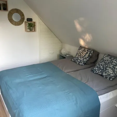 Bazsalikom-apartman Apartmán *